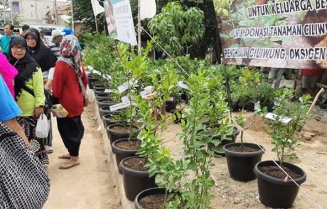 daerah-aliran-sungai-ciliwung-ditanami-tanaman-obat-dan-sayuran daerah-aliran-sungai-ciliwung-ditanami-tanaman-obat-dan-sayuran
